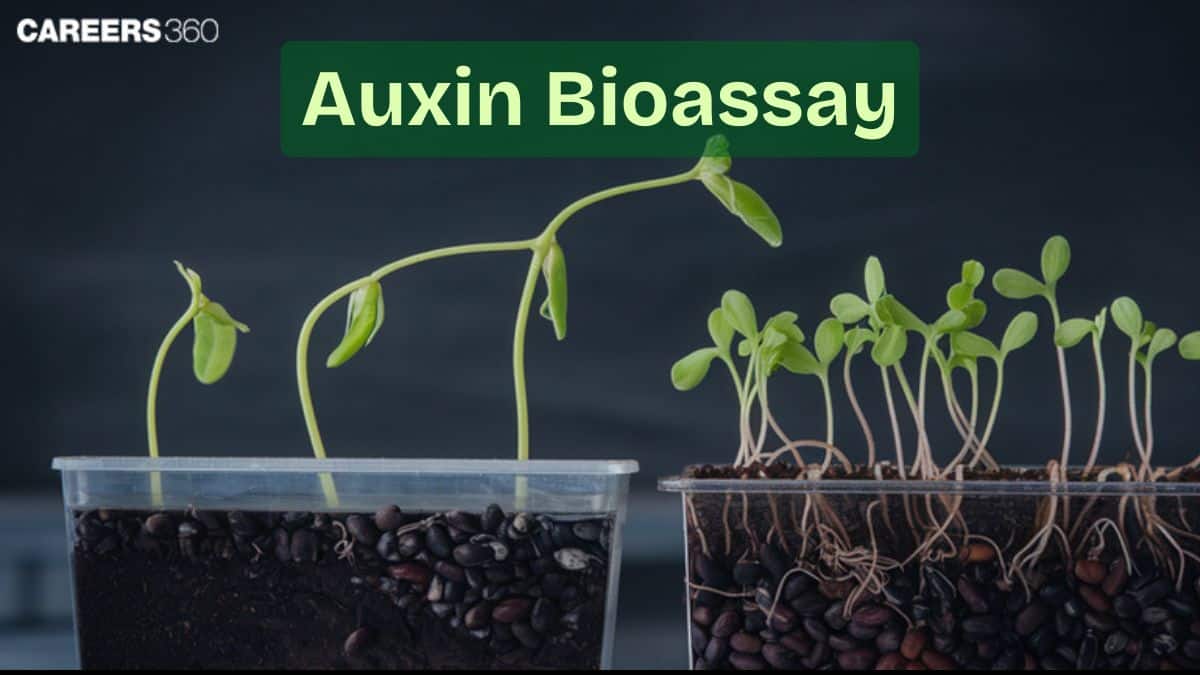 Auxins: History, Bioassay, Function, Uses, Topics